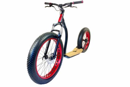 Gravity Fat Sapo-Roller-Fatbike